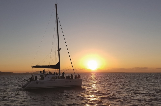 写真：初日の出