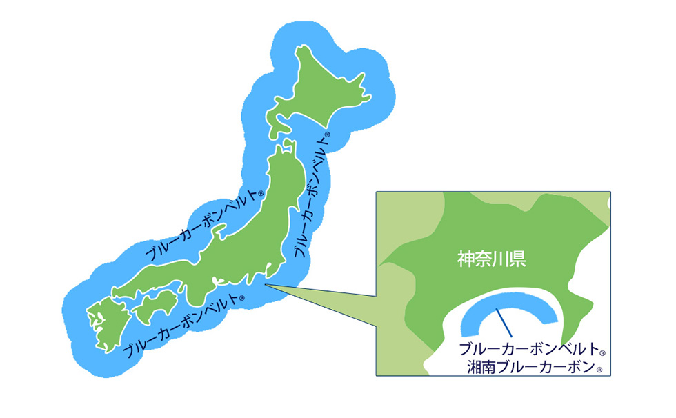 図解：ブルーカーボンベルト