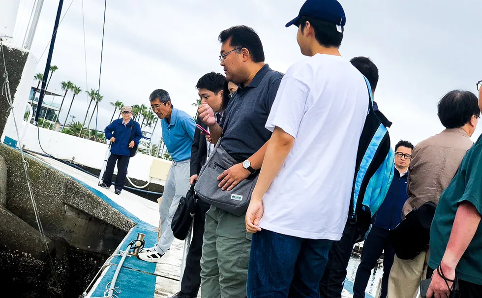 藻場再生の見学会