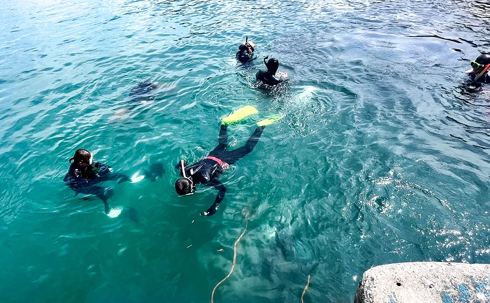 藻場再生の見学会