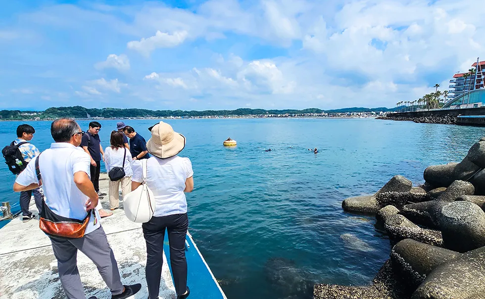 藻場再生の見学会