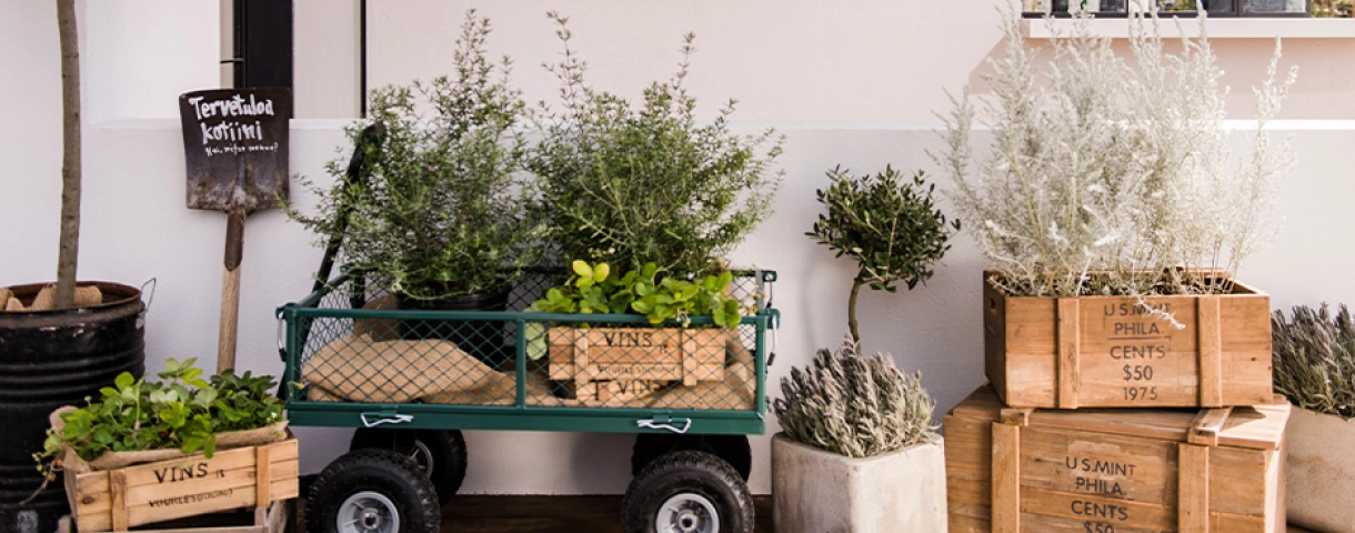 写真：レストラン前