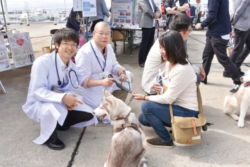 写真：わんちゃん