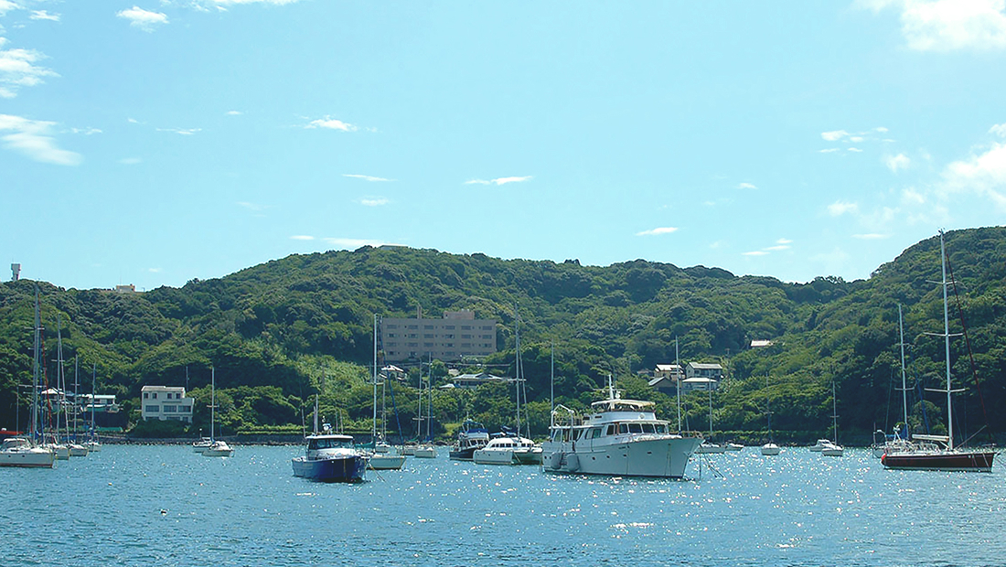 写真：下田ポートサービス