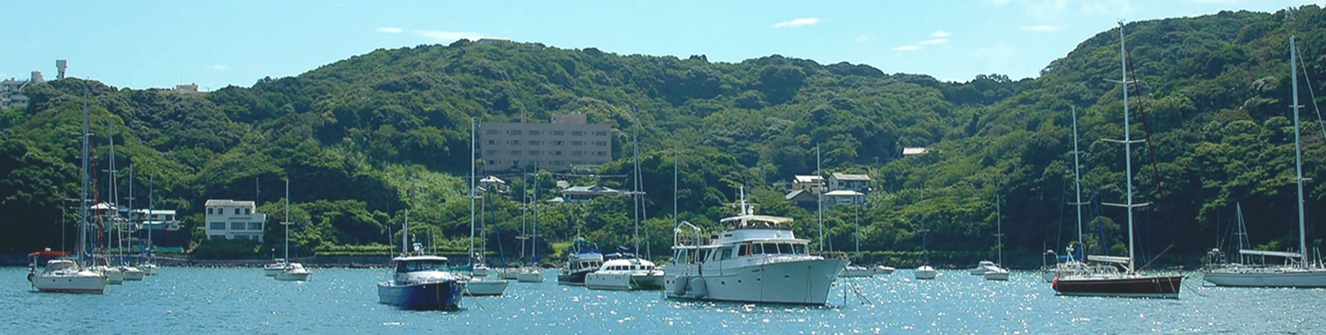 写真：下田ボートサービス