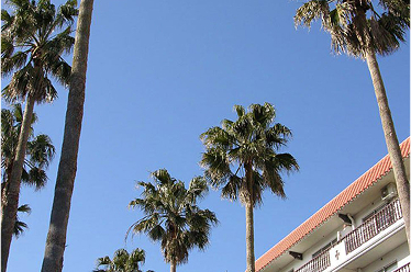 写真：ホテル外