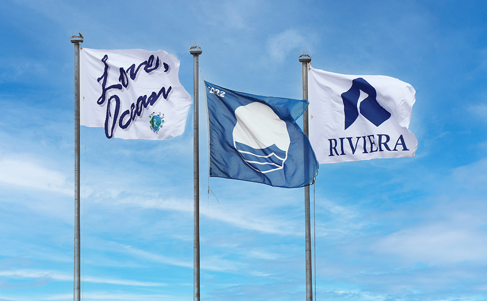 写真：ブルーフラッグ