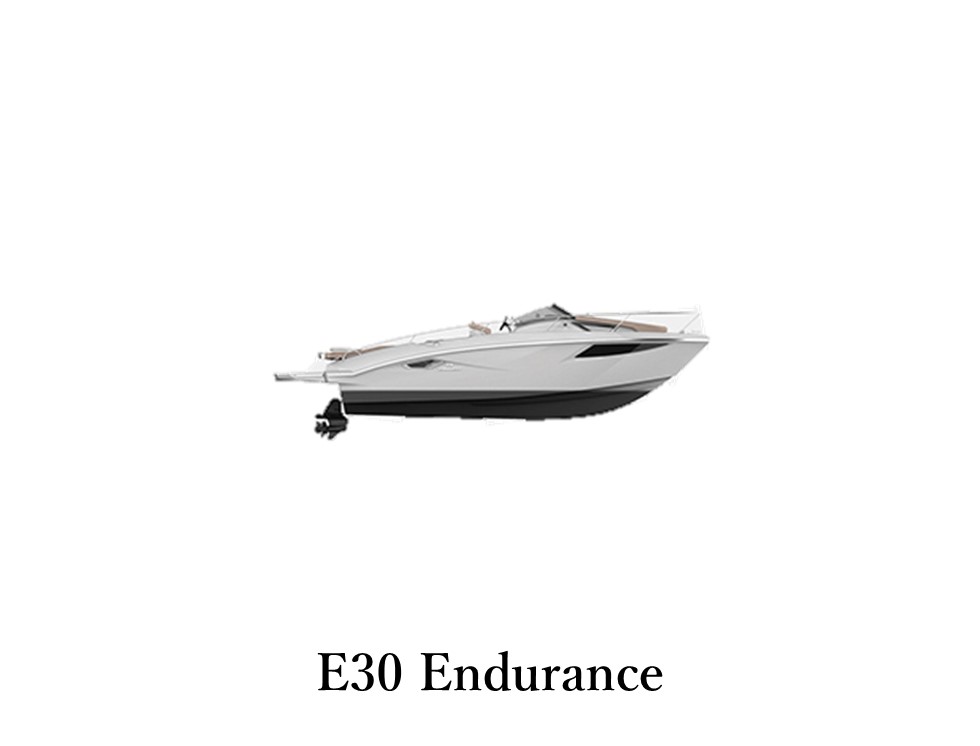 E3_Endurance