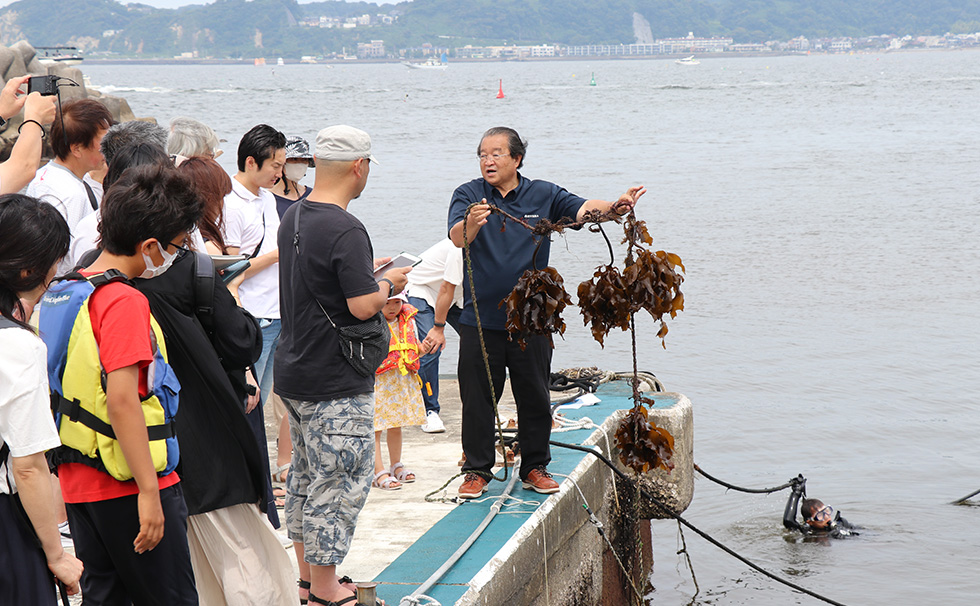 藻場再生セミナー