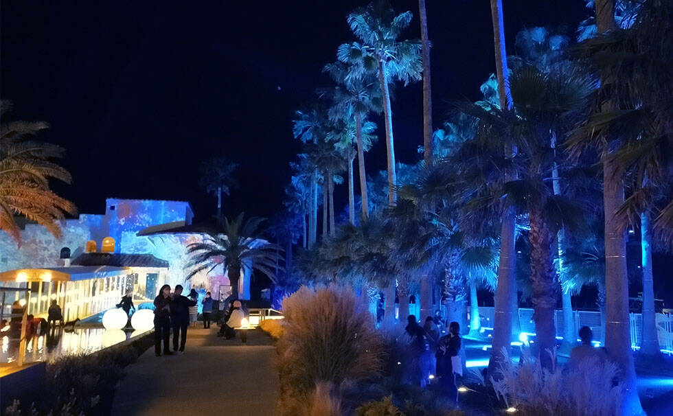 写真：プロジェクションマッピング