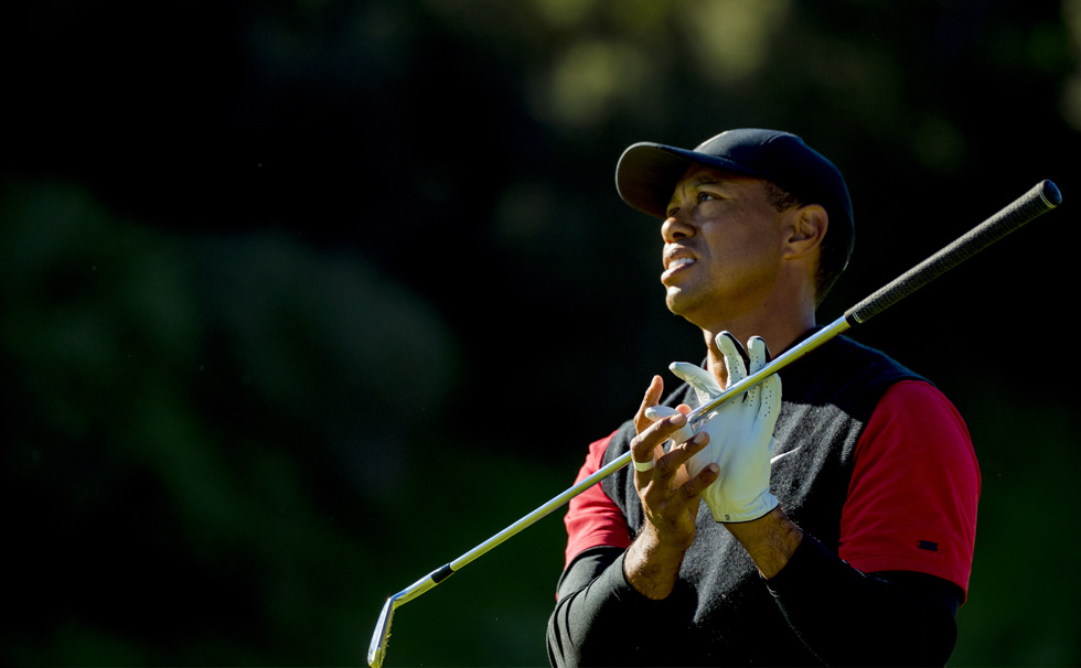 2019大会イメージ