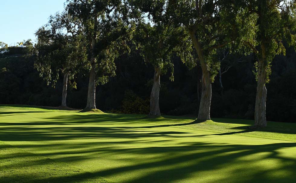 2021大会イメージ