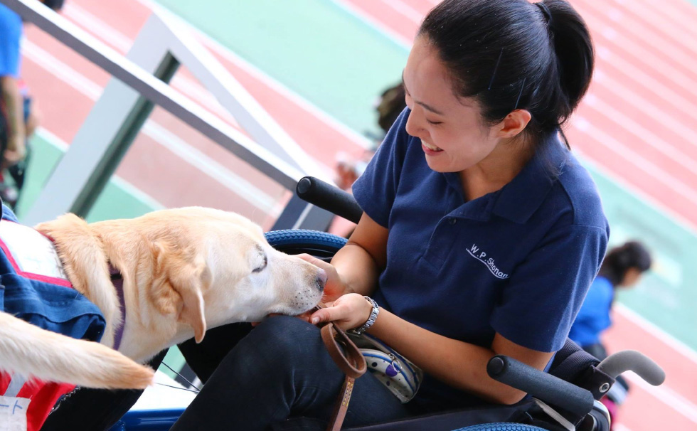 写真:ほじょ犬デモステージの様子