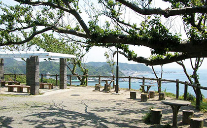 写真：披露山公園