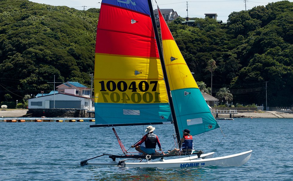 ホビーキャット