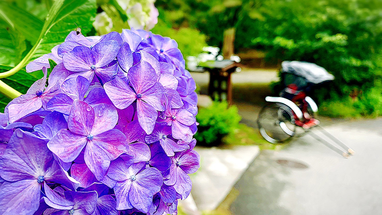 MALIBUHOTEL PLAN＿人力車2