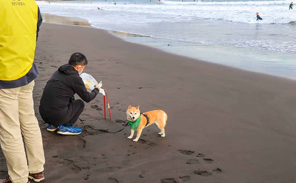 写真：リビエラ湘南ビーチクリーン