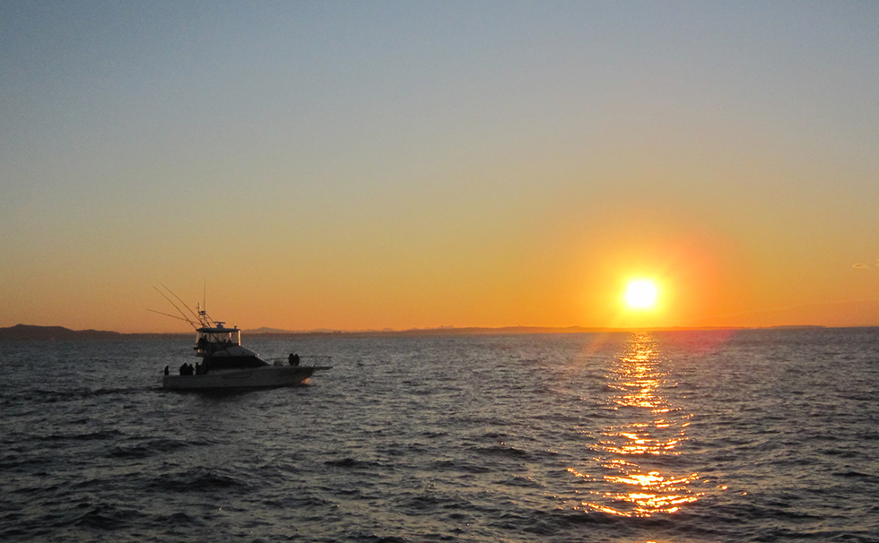 写真：リビエラ チャータークルージング