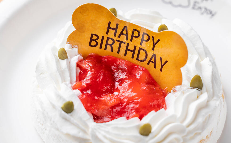 写真：わんちゃん用ケーキ
