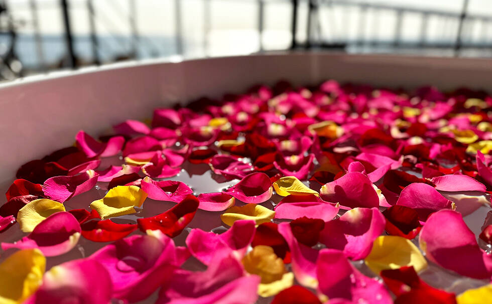 写真：フラワーバーデプール