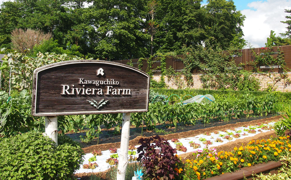 写真：リビエラファーム