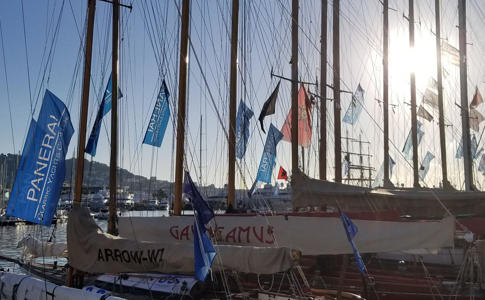 写真：シナーラ