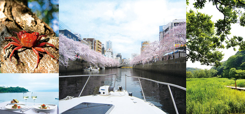 写真：クルージングプランの様子