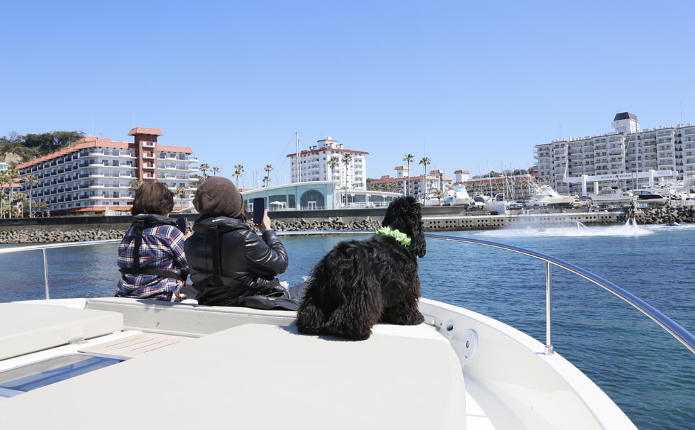 写真：第2回 逗子マリーナペットフェスタ 2019