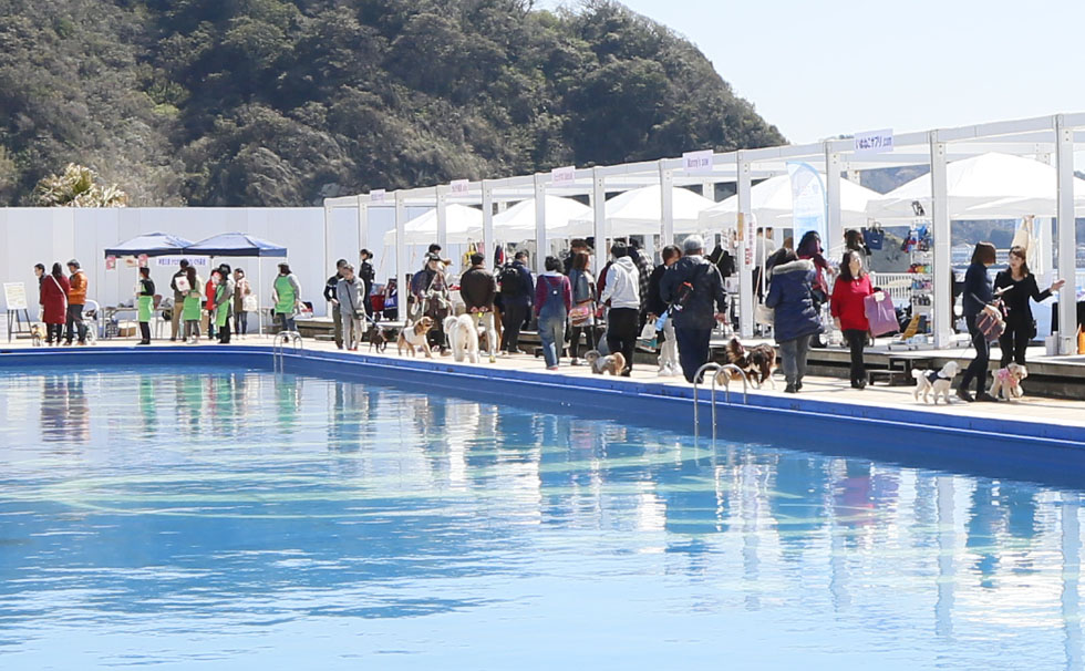 写真：第2回 逗子マリーナペットフェスタ 2019