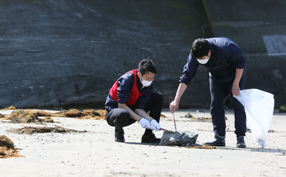 写真：リビエラビーチクリーン