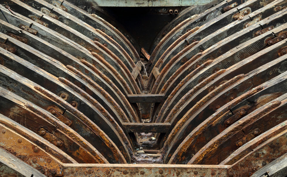 写真：シナーラ　フレーム