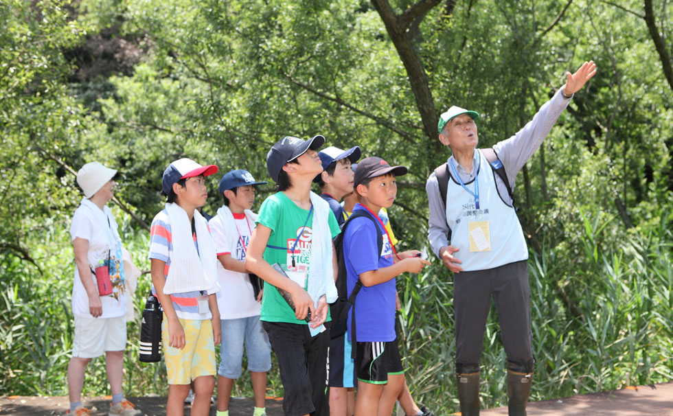 写真：小綱代の森生態系観察