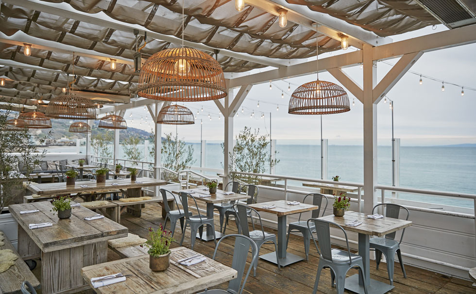 写真:オーガニックレストラン