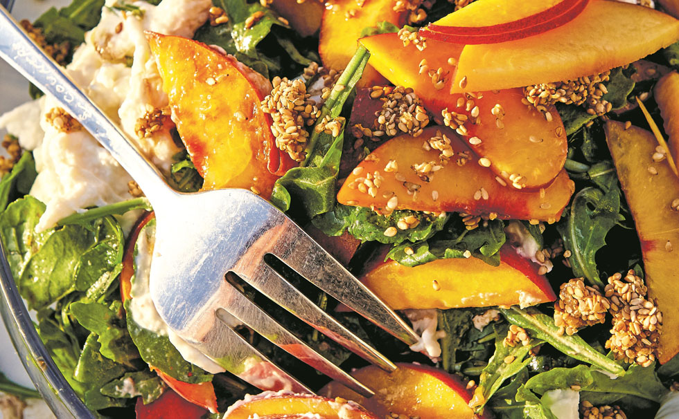 写真:オーガニックレストラン お料理