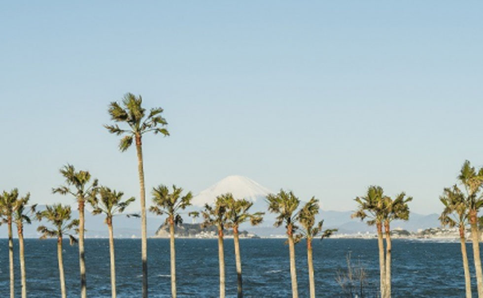 写真：自然に溶け込む