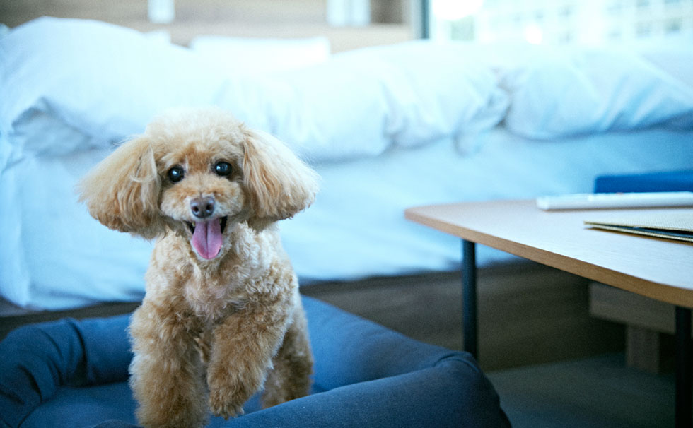 写真：SPACE KEY POINT 客室