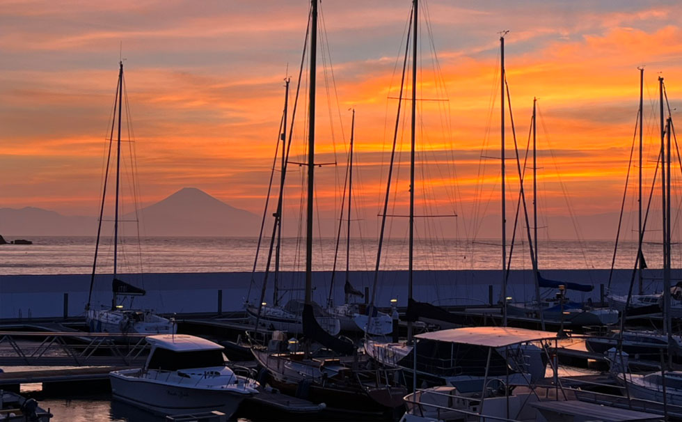 写真：ハーバー