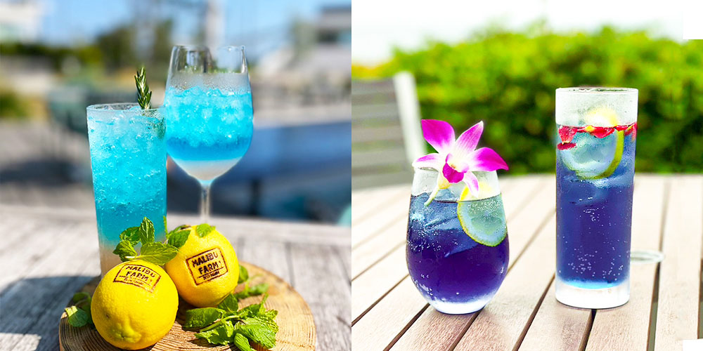 写真：サマーマリーナ2023