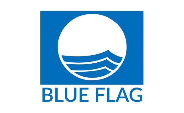 ロゴ：BLUE FLAG