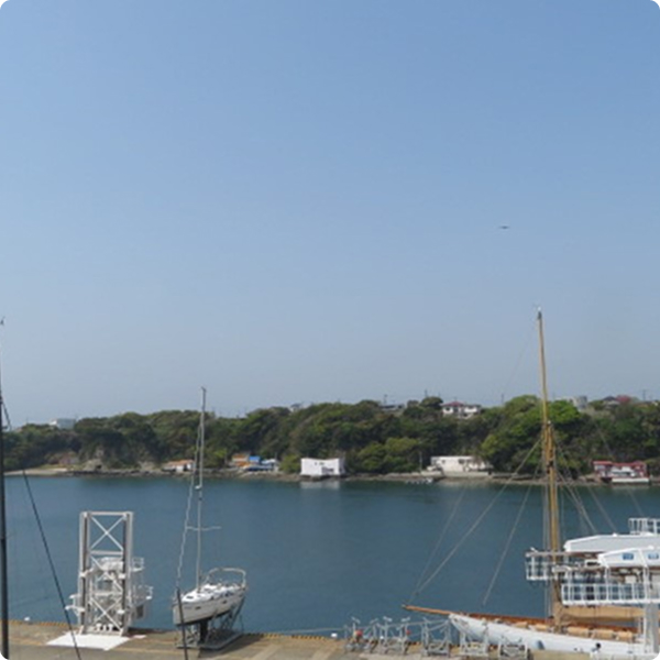 写真：シーボニア　D棟　5階