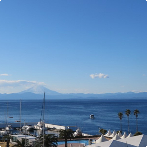 写真：シーボニア　C棟　6階