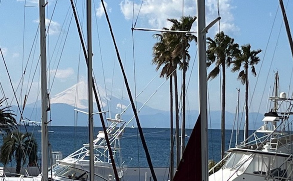 写真：A棟　2階　シーボニアマリーナ