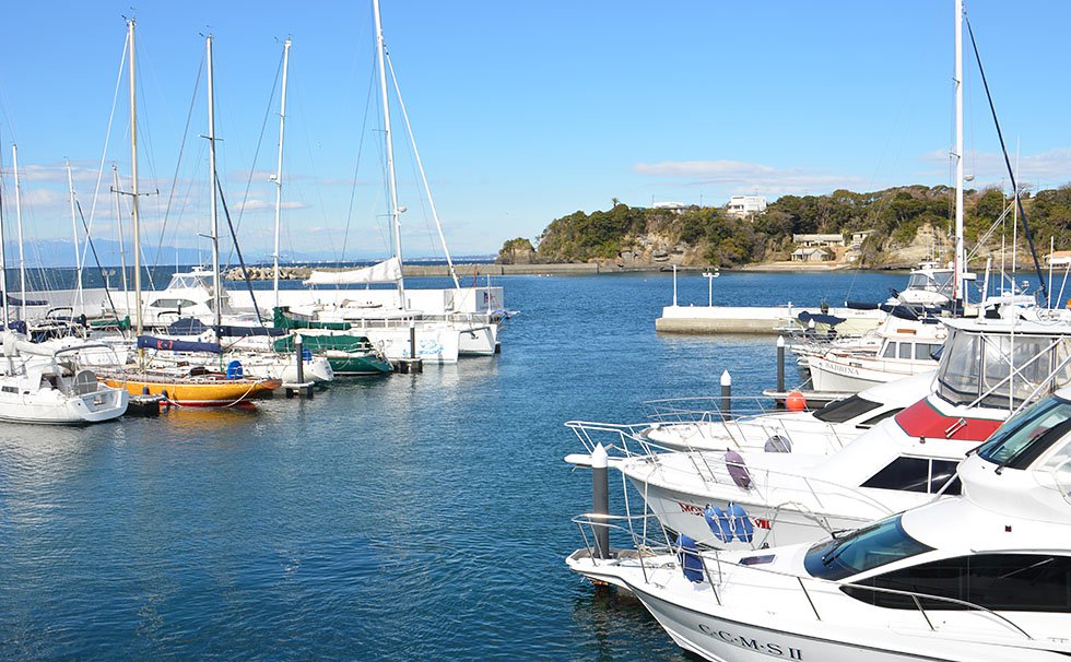 写真：三浦　港