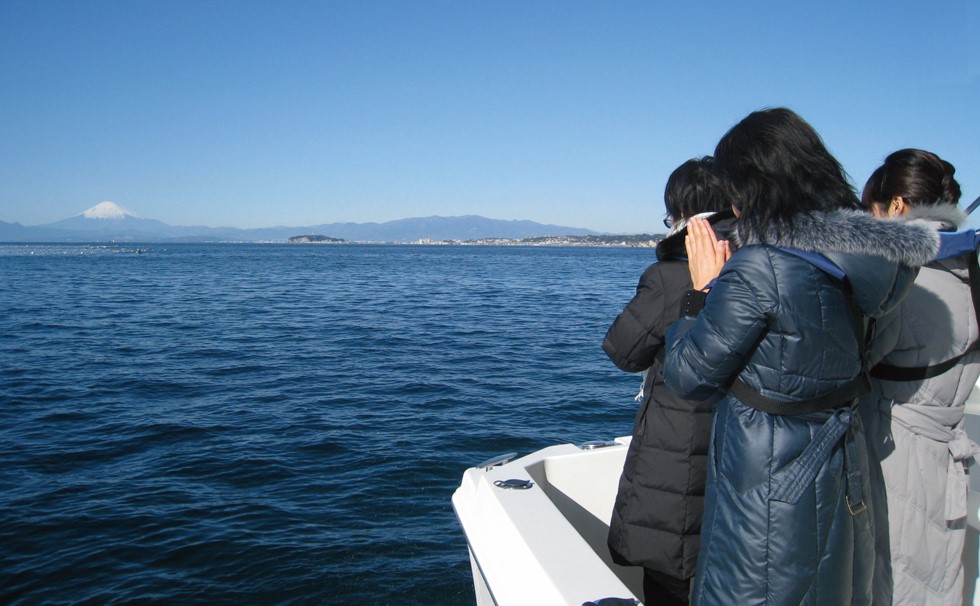 写真：クルーズ