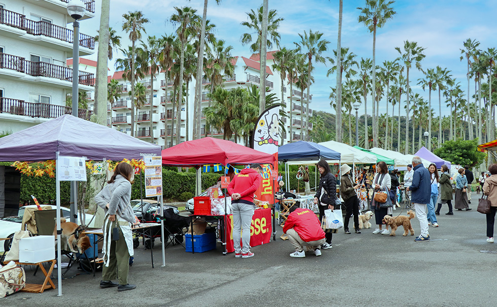写真：Miniリビエラマルシ：