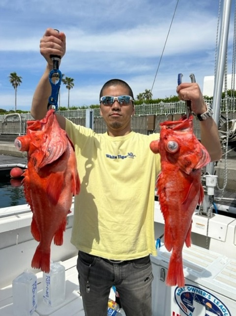 写真：釣り人とアコウダイ