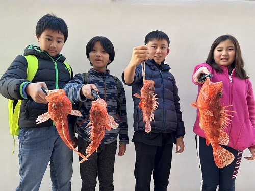 写真：子供たちとカサゴ