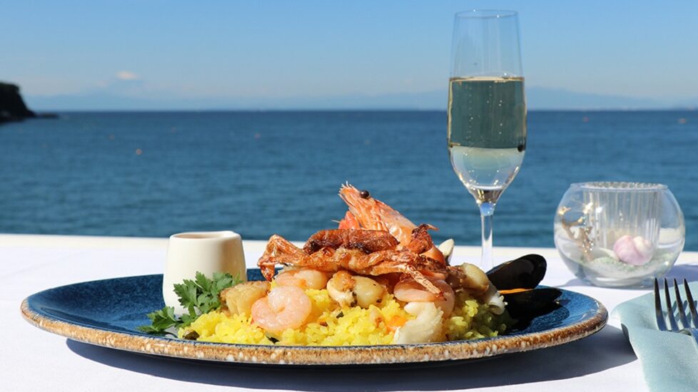 写真:湘南レース