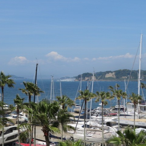 写真：逗子マリーナ4号棟眺望