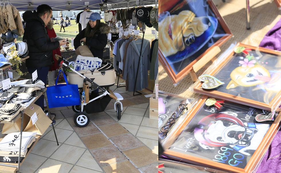 写真：ペット関連各社による展示